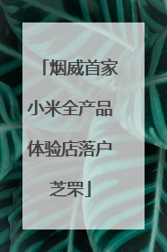 烟威首家小米全产品体验店落户芝罘