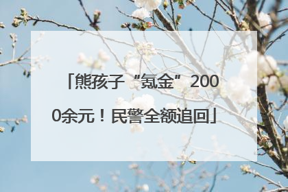 熊孩子“氪金”2000余元！民警全额追回