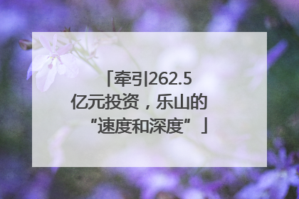 牵引262.5亿元投资，乐山的“速度和深度”
