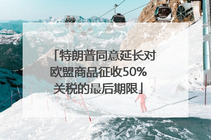 特朗普同意延长对欧盟商品征收50%关税的最后期限