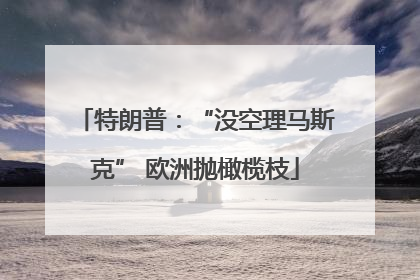 特朗普：“没空理马斯克” 欧洲抛橄榄枝