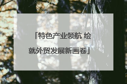 特色产业领航 绘就外贸发展新画卷