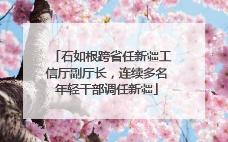 石如根跨省任新疆工信厅副厅长，连续多名年轻干部调任新疆