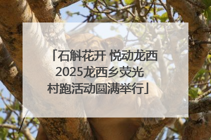 石斛花开 悦动龙西 2025龙西乡荧光村跑活动圆满举行