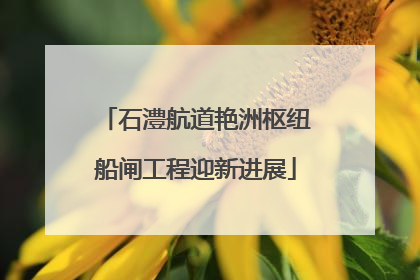石澧航道艳洲枢纽船闸工程迎新进展