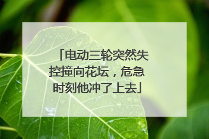 电动三轮突然失控撞向花坛，危急时刻他冲了上去