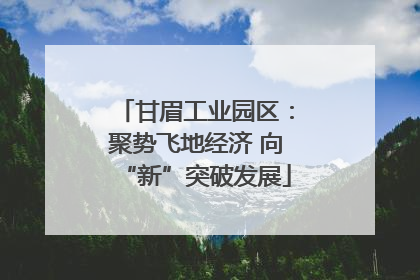 甘眉工业园区：聚势飞地经济 向“新”突破发展