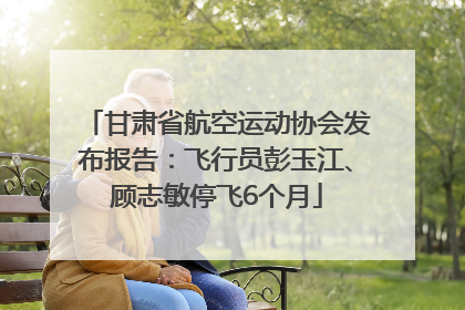 甘肃省航空运动协会发布报告：飞行员彭玉江、顾志敏停飞6个月