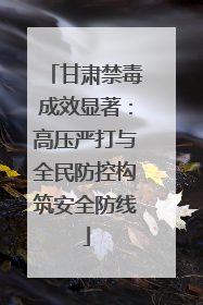 甘肃禁毒成效显著：高压严打与全民防控构筑安全防线