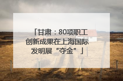 甘肃：80项职工创新成果在上海国际发明展“夺金”