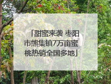 甜蜜来袭 枣阳市熊集镇7万亩蜜桃热销全国多地