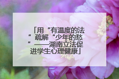 用“有温度的法”疏解“少年的愁”——湖南立法促进学生心理健康