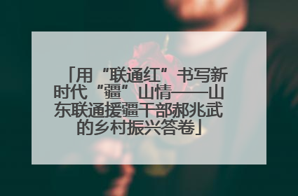 用“联通红”书写新时代“疆”山情——山东联通援疆干部郝兆武的乡村振兴答卷