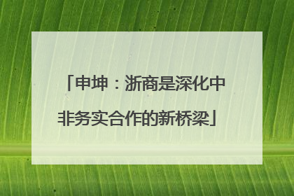 申坤：浙商是深化中非务实合作的新桥梁