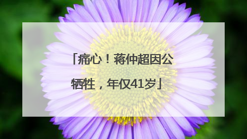 痛心！蒋仲超因公牺牲，年仅41岁