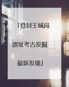登封王城岗遗址考古发掘最新发现