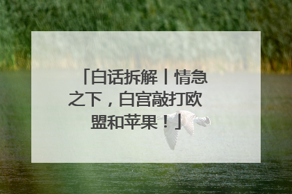 白话拆解丨情急之下，白宫敲打欧盟和苹果！
