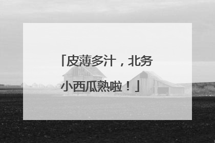 皮薄多汁，北务小西瓜熟啦！