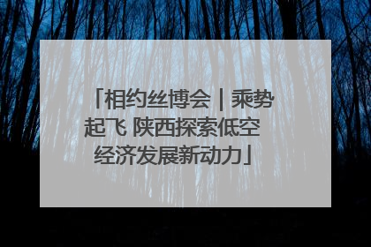 相约丝博会｜乘势起飞 陕西探索低空经济发展新动力