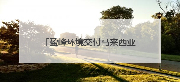 盈峰环境交付马来西亚首批纯电动垃圾压缩车