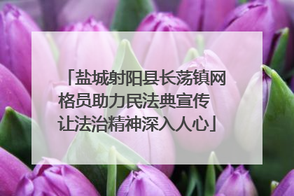盐城射阳县长荡镇网格员助力民法典宣传 让法治精神深入人心