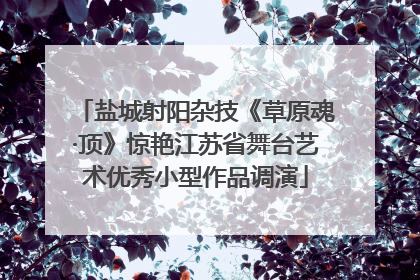 盐城射阳杂技《草原魂·顶》惊艳江苏省舞台艺术优秀小型作品调演