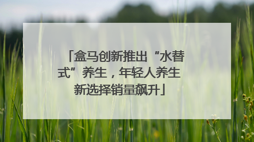 盒马创新推出“水替式”养生，年轻人养生新选择销量飙升