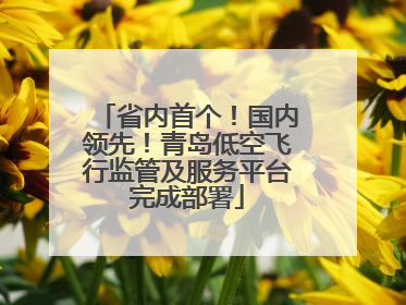 省内首个！国内领先！青岛低空飞行监管及服务平台完成部署