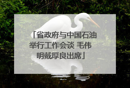 省政府与中国石油举行工作会谈 毛伟明戴厚良出席