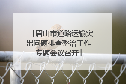 眉山市道路运输突出问题排查整治工作专题会议召开