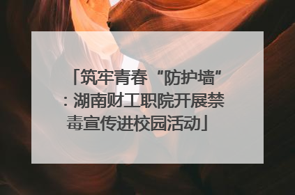 筑牢青春“防护墙”：湖南财工职院开展禁毒宣传进校园活动