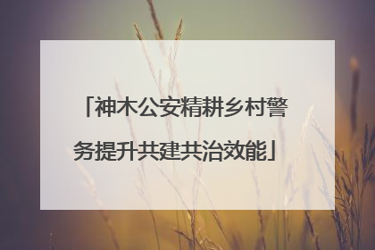 神木公安精耕乡村警务提升共建共治效能