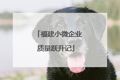 福建小微企业质量跃升记