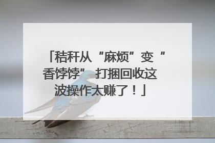 秸秆从“麻烦”变“香饽饽” 打捆回收这波操作太赚了！