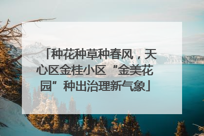 种花种草种春风，天心区金桂小区“金美花园”种出治理新气象
