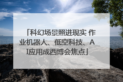 科幻场景照进现实 作业机器人、低空科技、AI应用成西博会焦点
