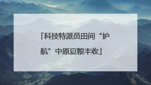 科技特派员田间“护航”中原夏粮丰收