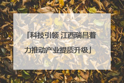 科技引领 江西瑞昌着力推动产业提质升级