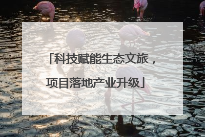 科技赋能生态文旅，项目落地产业升级