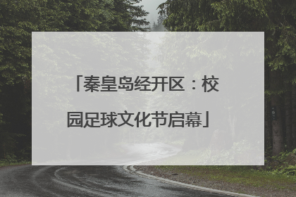 秦皇岛经开区：校园足球文化节启幕