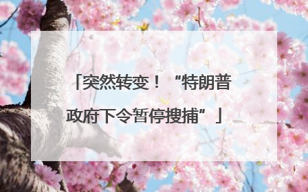 突然转变！“特朗普政府下令暂停搜捕”