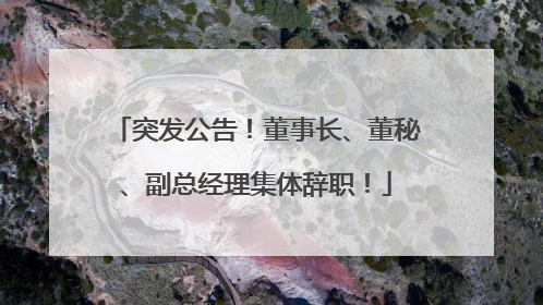 突发公告！董事长、董秘、副总经理集体辞职！