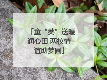 童“葵”送暖润心田 两校情谊助梦圆