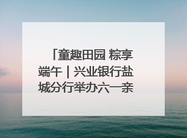 童趣田园 粽享端午｜兴业银行盐城分行举办六一亲子嘉年华活动