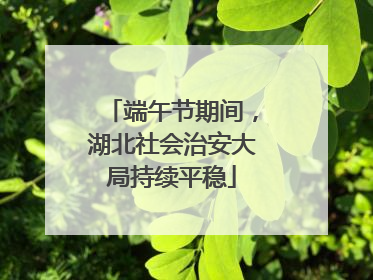 端午节期间，湖北社会治安大局持续平稳