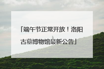 端午节正常开放！洛阳古墓博物馆最新公告