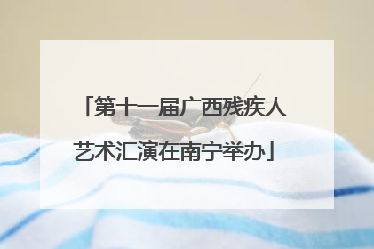第十一届广西残疾人艺术汇演在南宁举办