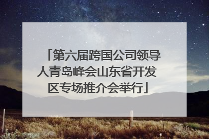 第六届跨国公司领导人青岛峰会山东省开发区专场推介会举行