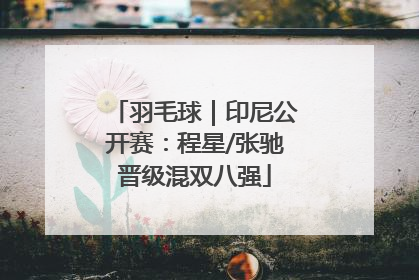 羽毛球｜印尼公开赛：程星/张驰晋级混双八强