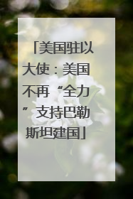 美国驻以大使：美国不再“全力”支持巴勒斯坦建国